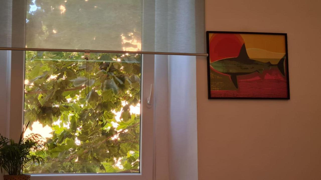 Ladispoli Apartment Kültér fotó